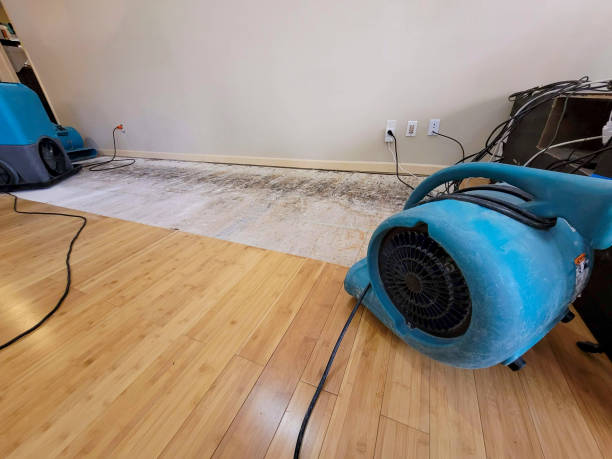 Professional Structural Drying technician working in Hawthorne, FL